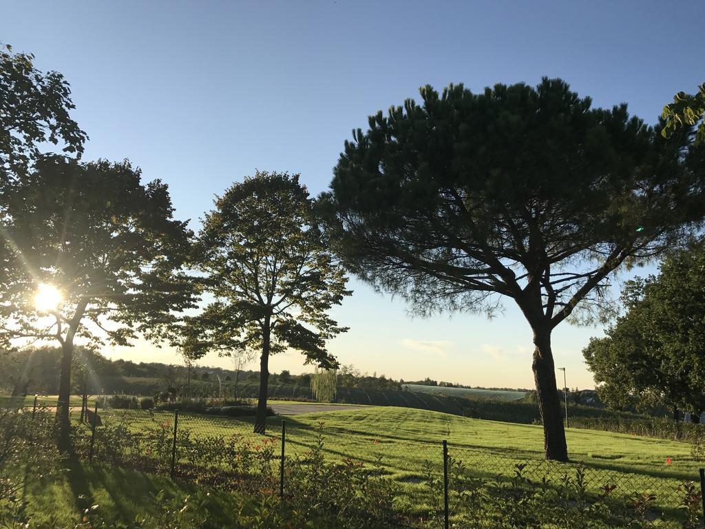 Agriturismo La Rinaldina Faenza Eksteriør billede