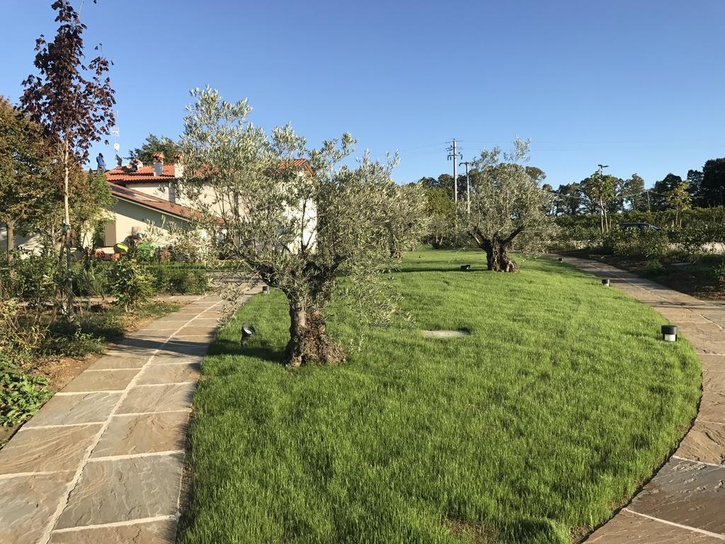 Agriturismo La Rinaldina Faenza Eksteriør billede